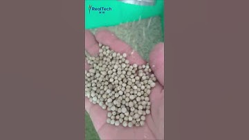 pepper color sorter machine grain processing machine