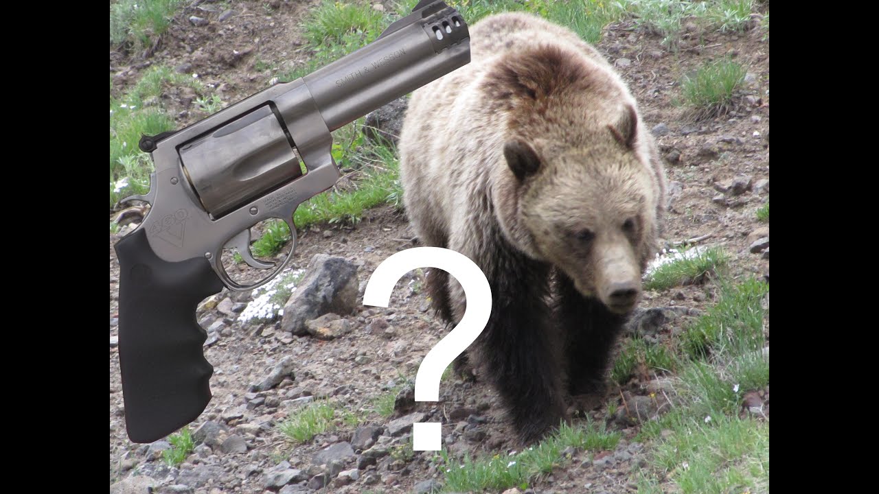 460 S&W Magnum Could you stop a charging bear? YouTube