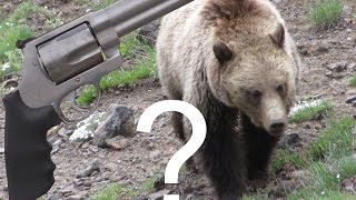 460 S&W Magnum Could You Stop A Charging Bear?