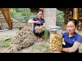 Harvesting preserved cu kieu  recipe for preparation  preservation for 365 days  trieu mai huong