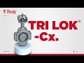 Válvula Mariposa | Serie Tri Lok®-Cx. | Bray Válvulas [Spanish Version]