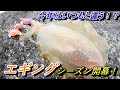 今年こそアオリイカを釣りたい初心者の方に見てほしい。２時間で全状況完全攻略！？能登エギング開幕戦は内容の濃いエギングになった。
