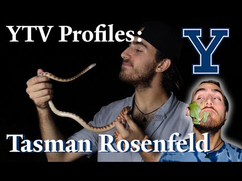 YTV Profiles: How Tasman Rosenfeld &#039;23 is fighting to conserve Florida’s natural habitats