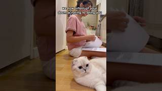 Interrupting Your Doomscrolling