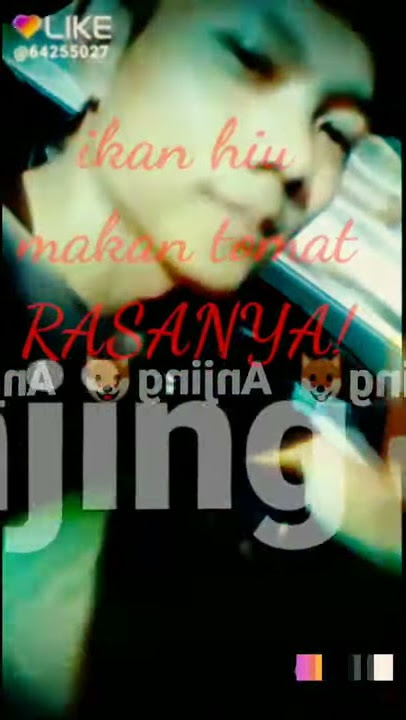 Story wa anjing anjing banget