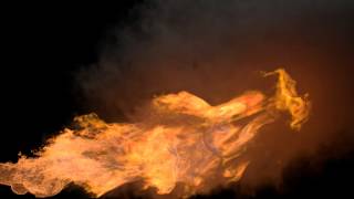 Fire Test #1