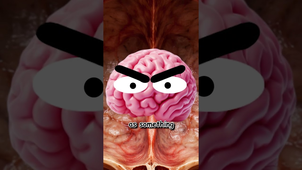 Why you JOLT Awake before Falling Asleep..