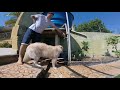 Middle of video