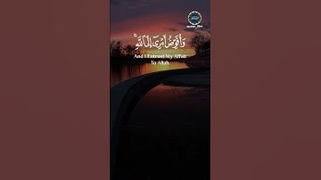 من سورة غافر | From Surat Ghafir  #قرآن #قران_كريم