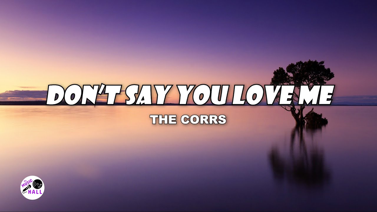 Dont Say You Love Me  The Corrs Lyrics