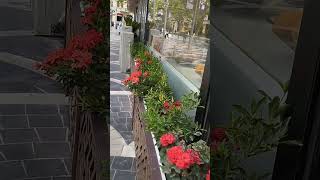 #ytdayibenionecikarnolur #capitalcity #love #travel
