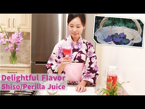 Video: Reproduktion Af Den Japanske Skønhed Perilla