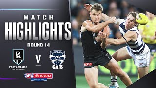 Port Adelaide v Geelong Cats Highlights | Round 14, 2023 | AFL
