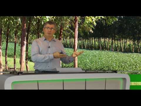 CAPACITAÇÃO TECNOLÓGICA -  ILPF /  Jamir Silva (Aula 166) - YouTube