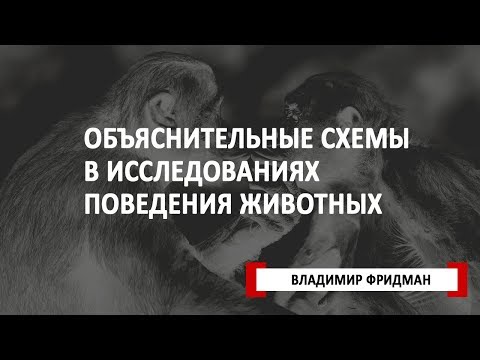 Видео: Социобиология на ландшафта