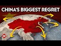 Why china didnt conquer the world in 1406