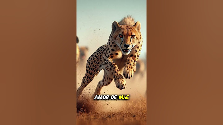 🐆 A Mãe Guepardo que Enfrentou a Morte para Salvar os Filhotes… Uma Lição de Amor e Coragem ❤️🔥