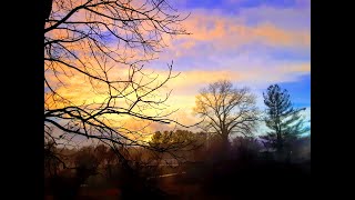 Ultimate Taste Test, Jet Puffed Marshmallow Bites, Smores Flavored Coated Marshmallows