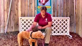 Pit School Wk 1 Getting Dressed