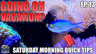 Going On VACATION? Don't Do This To Your Saltwater Tank Before You Go - Saturday Morning Quick Tip