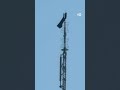 1,454 फुट ऊंची इमारत पर चढ़कर किया प्रपोज [Two People propose on NYs Empire State Building Antenna]