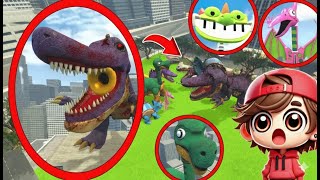 التقطت طائرتي بدون طيار SAXOSAURUS Triceradrum Brontoflute Dino Toy في الحياة الواقعية