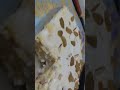 #custard putting#dry fruit#shortvideo #yummyrecipes #lovesong 🍮🍮🍮🍮😋