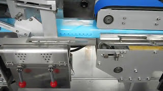 Wet Tissue Packaging Machine, type: CD 380/ Mesin Packing Tisu Basah