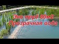 Эко пруд 80м2 Прозрачная вода