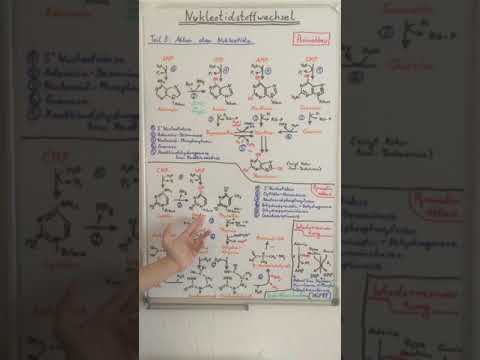 Video: Wo kommt Pyrimidin vor?