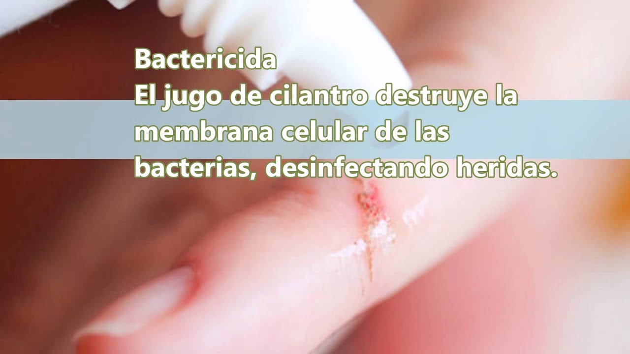 Propiedades curativas del cilantro - YouTube