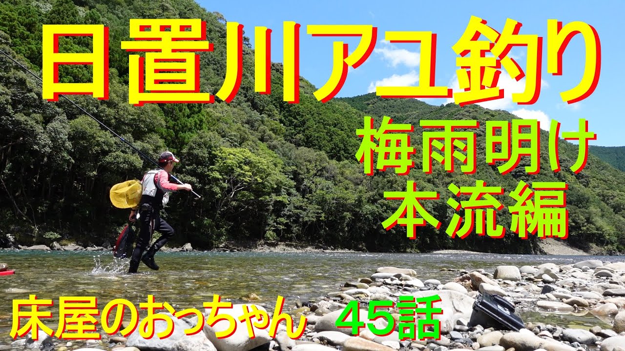 【鮎釣り】待ってました‼🌞梅雨明け日置川ダム下本流での鮎釣り