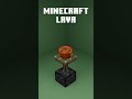 MINECRAFT vs REAL 3D Simulations #3d #minecraft #simulation