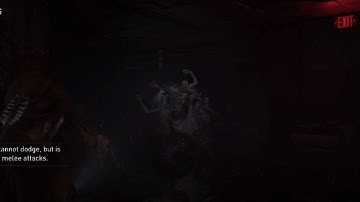 The Last of Us Part II Remastered No Return Daily Run, boss fight