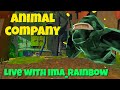 Animal Company Live with Ima_Rainbow (Jump Scare In Haunted House )