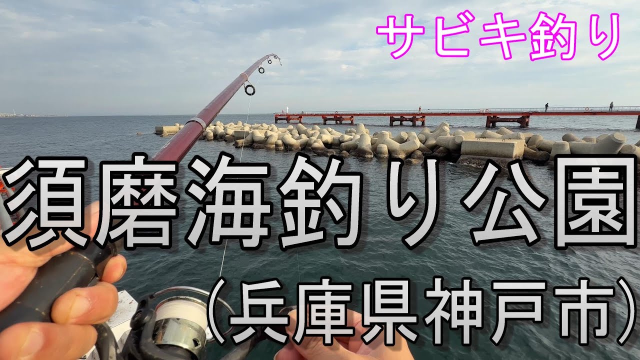 サビキ釣り【須磨海釣り公園】兵庫県神戸市