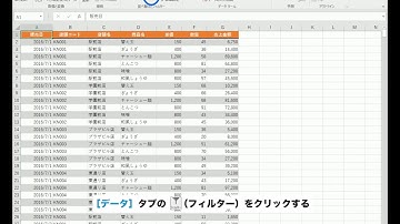 オートフィルター（１）設定 － noa出版 リファレンス動画 Excel 2016