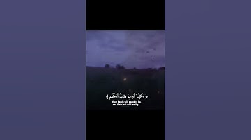 قرآن الكريم راحة نفسية 💜#reels #الحمدلله #اكسبلور #fyp #viralvideo #foryou