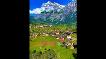 #القرآن_الكريم #ياسر_الدوسري #سورة_الماعون