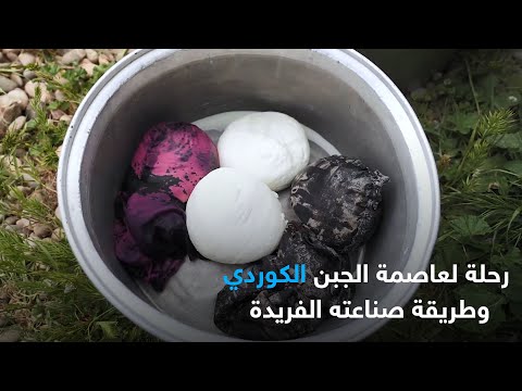 رحلة لعاصمة الجبن الكوردي وطريقة صناعته الفريدة