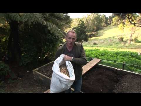 How to improve your soil