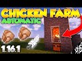 Minecraft AFK Chicken Farm Tutorial 1.16+ Easy | Java & Bedrock
