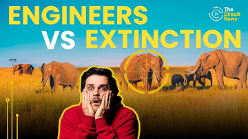 Engineers Use AI to Save Animals! Watch Two Heroes in Action!