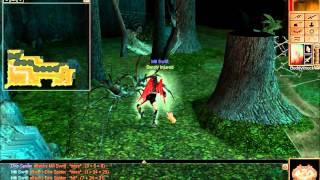 Let's Quest - Neverwinter Nights - Original Campaign - Part 148 - Useless Gnomes