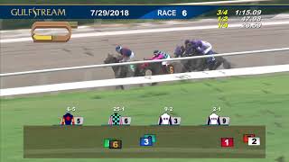 Gulfstream Park: July 29, 2018 Race 6