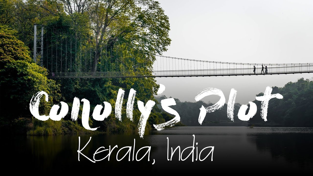 Conolly's Plot - Nilambur, Kerala, India - The world's oldest teak plantation