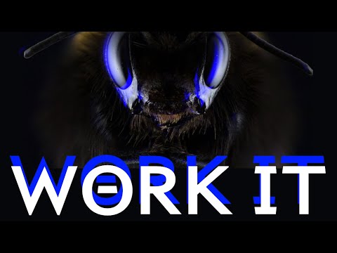 Work It (soulwax Remix) Marie Davidson clip