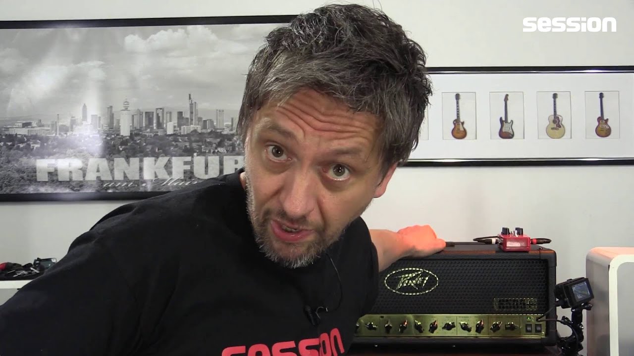 peavey 6505 50th anniversary gold