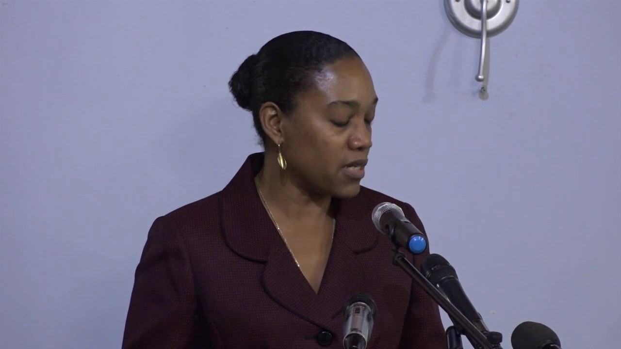 Hon. Francine Baron presentation to Private Sector Forum 2017