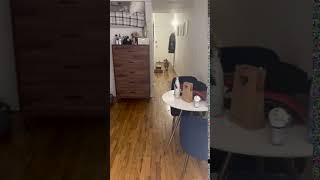 AmsterDog Rescue's Adoptable Hazel Video 4, March 2021
